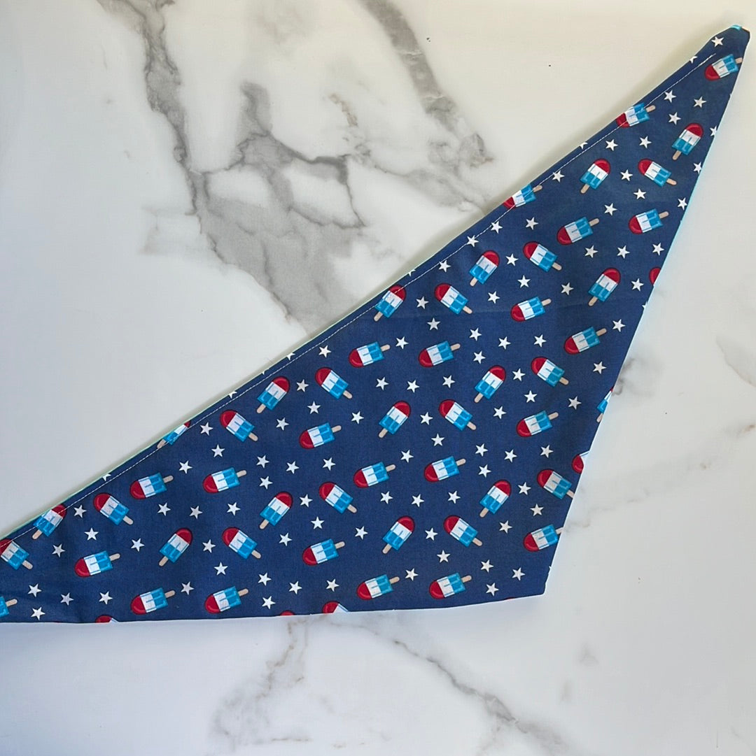 Patriotic Popsicle