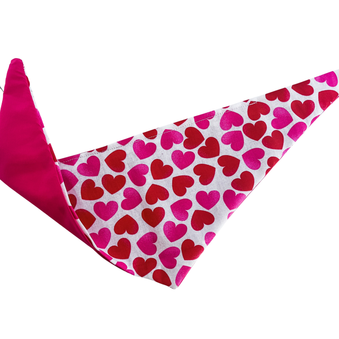 V Day hearts