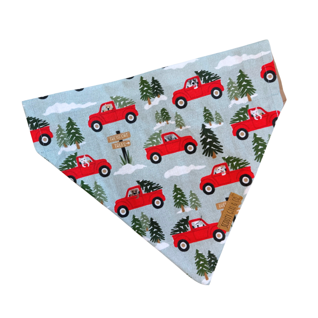 Fetching Fir