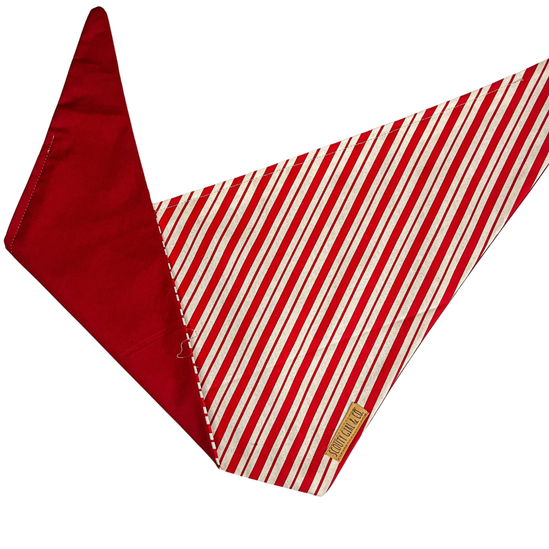 Candy Cane