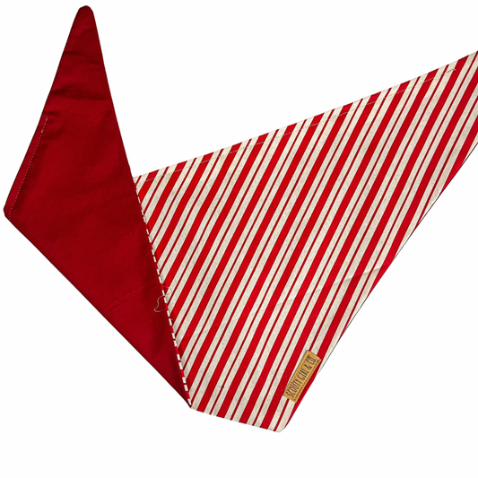 Candy Cane