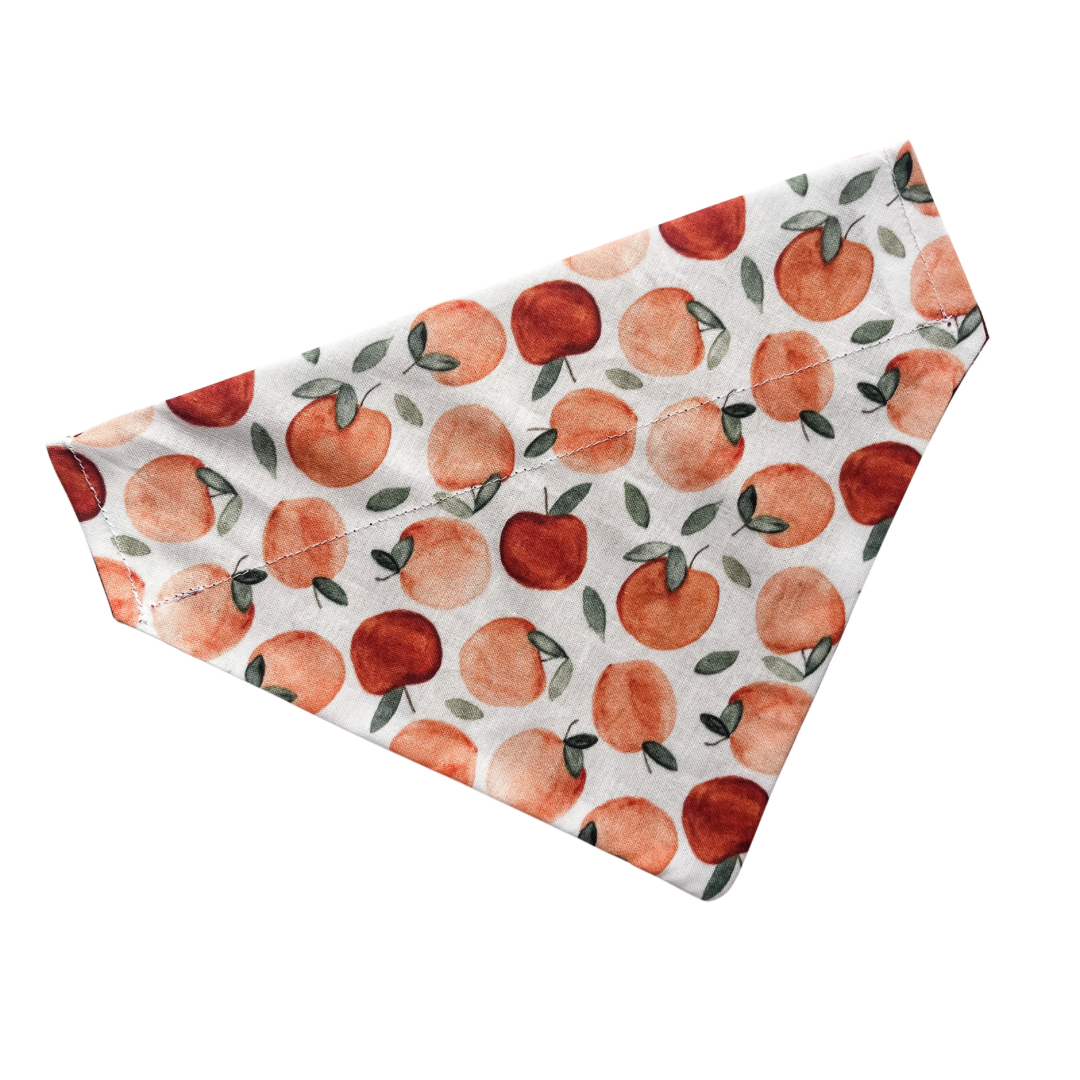Apple Orchard