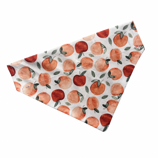 Apple Orchard