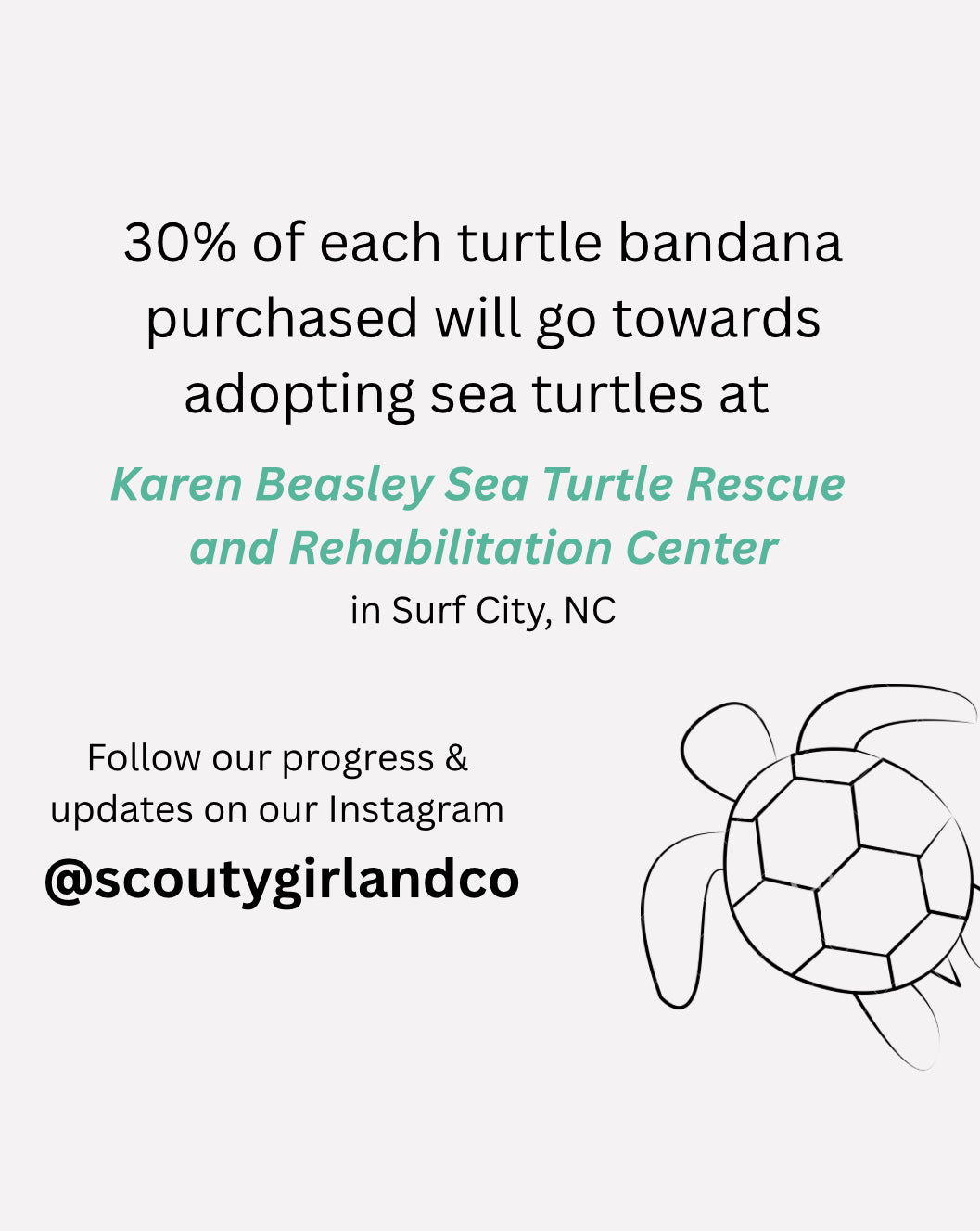 NC Sea Turtles