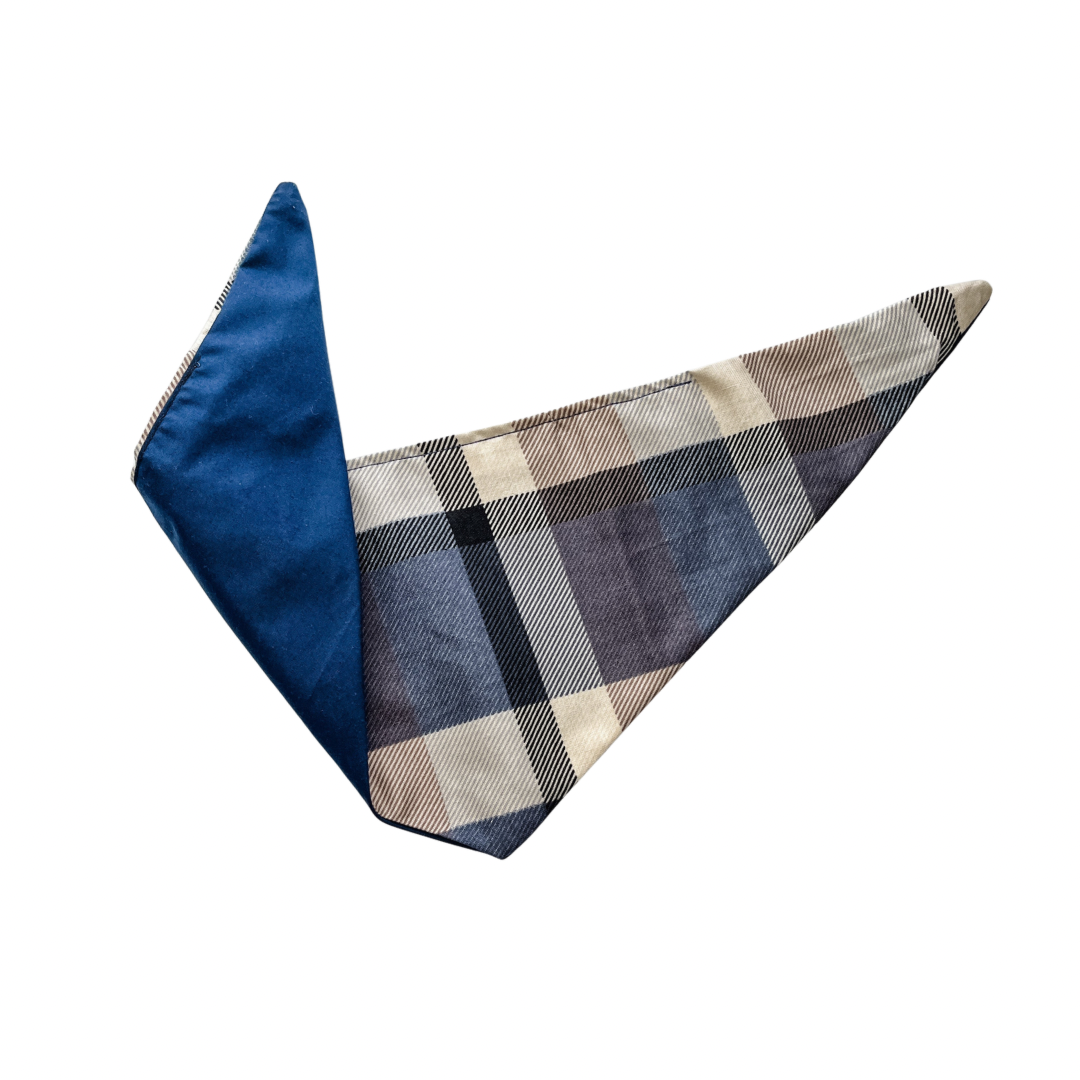 Blue Plaid