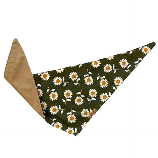 Sunflower Fields