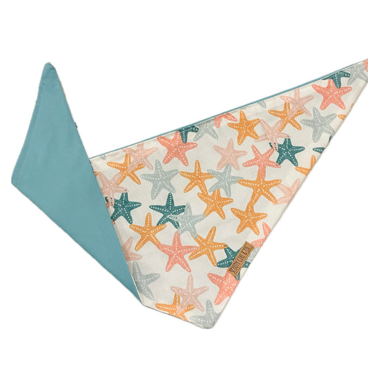 Summer Starfish