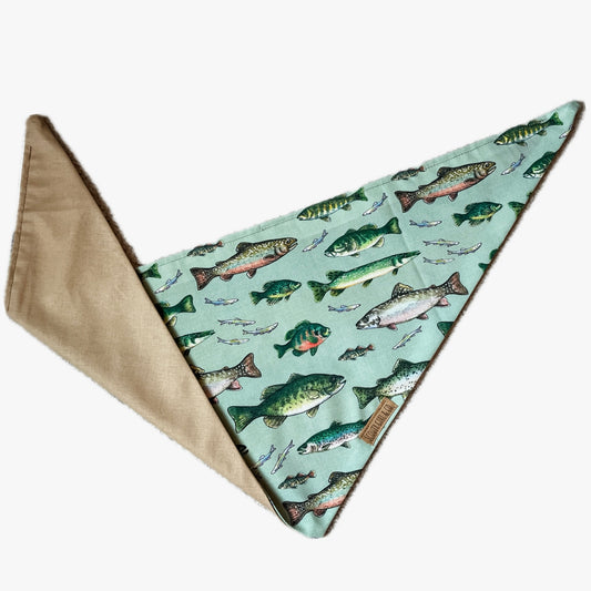 Gone Fishin’