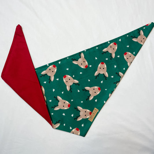 Santa’s Reindeer