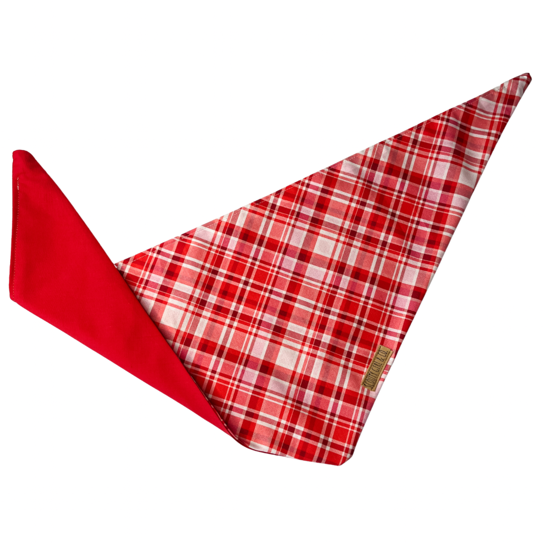 Valentine’s Day Plaid