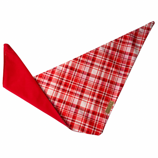 Valentine’s Day Plaid