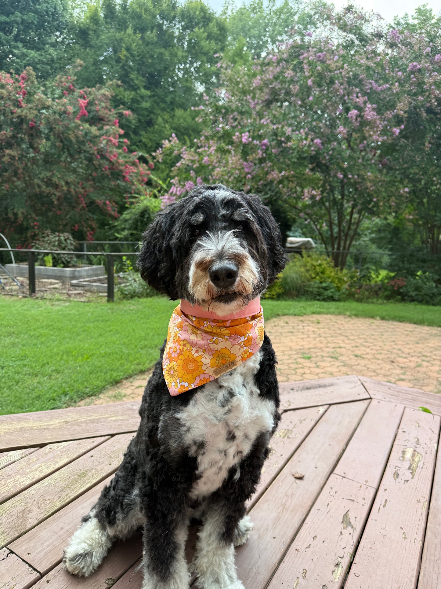 Flower Power