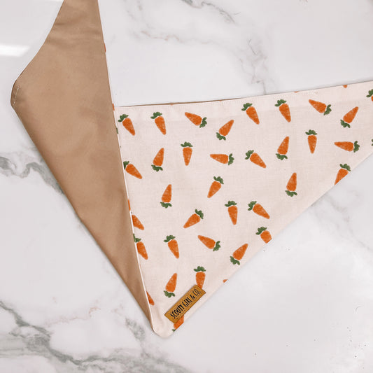 Spring Carrots