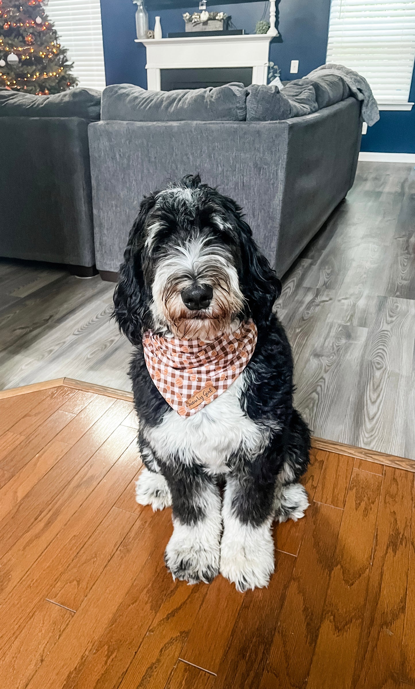 Plaid pumpkin
